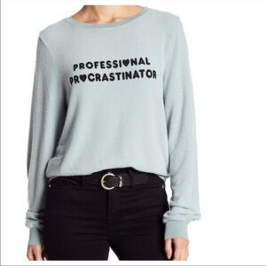 WILDFOX professional procrastinator sweatshirt